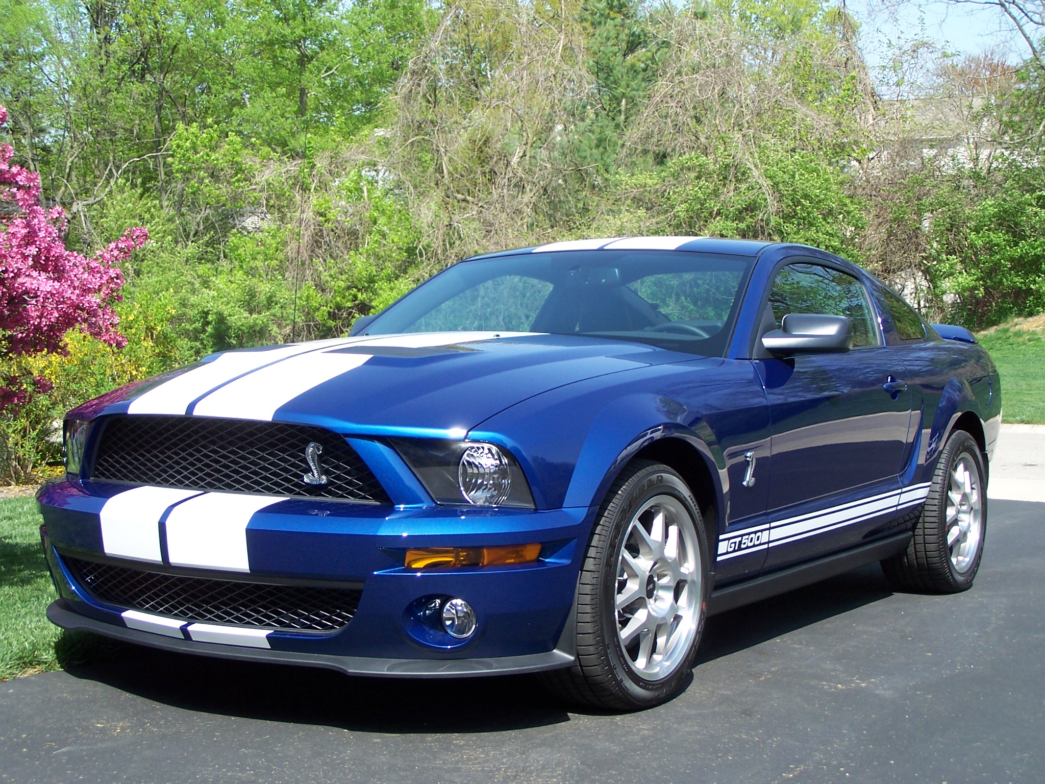 Форд Мустанг Шелби gt 500 2008